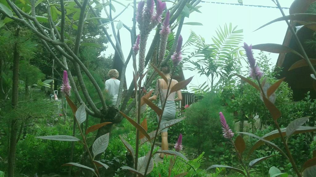 Pondok Anjani Gili Meno Buitenkant foto